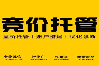 抖音信息流广告在电商行业的应用案例